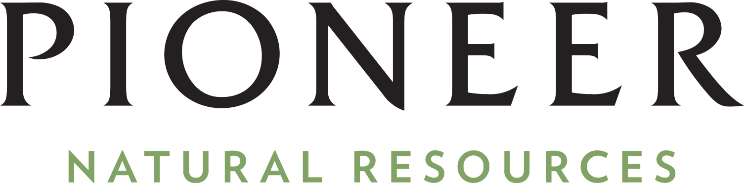 logo_pionner